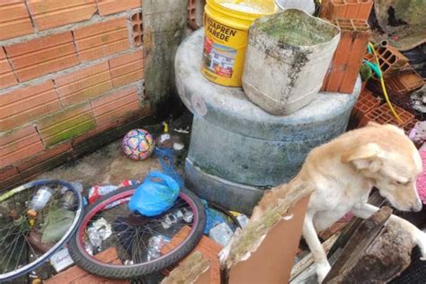 novinha cachorro|Mulher flagrada abandonando cachorro é presa e multada em 3 mil